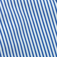 The Blue Sailor