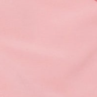 Le Flamingo
